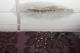 waterdamage-transformed